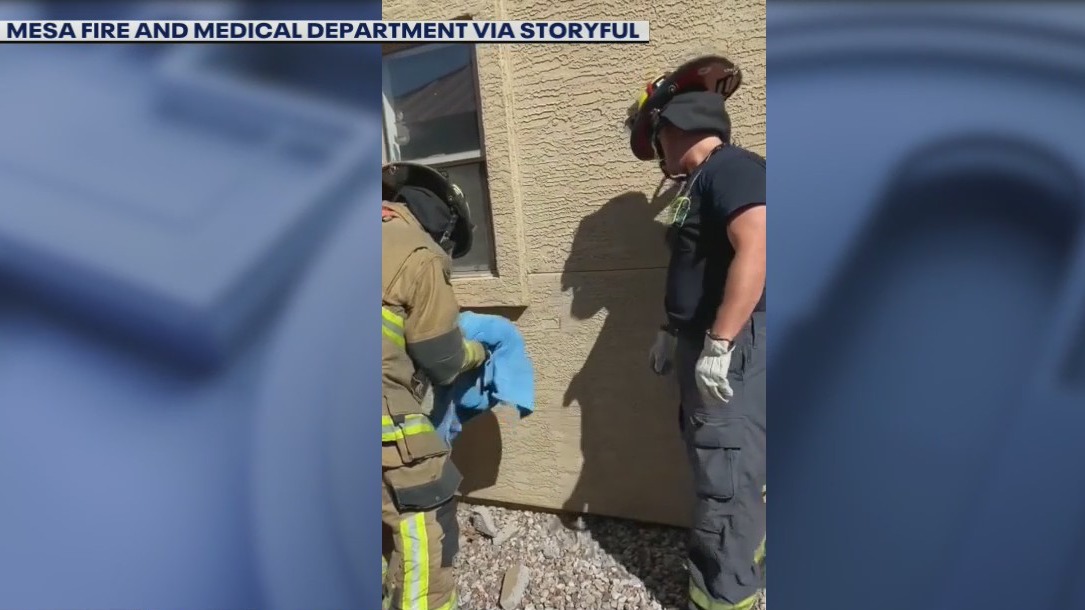 Firefighters rescue cat trapped in wall | FOX 5 Atlanta