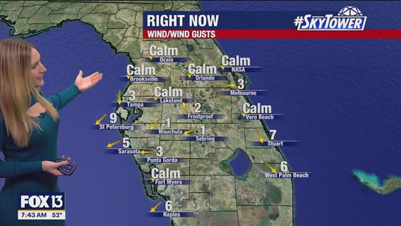 Tampa weather | Sunny day on Bay Area's horizon
