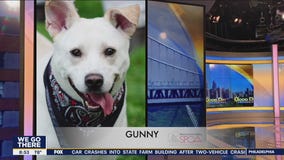 FurEver Home: August 28, 2022