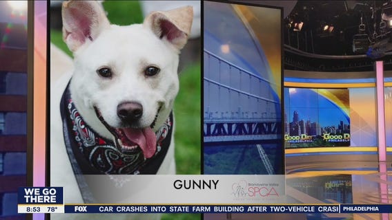 FurEver Home: August 28, 2022