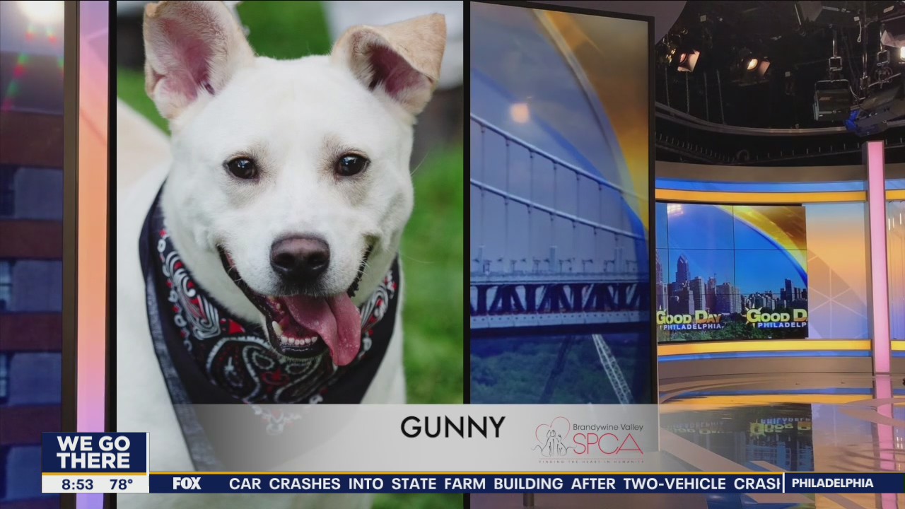 FurEver Home: August 28, 2022