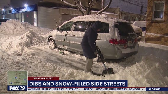Chicago's Beverly neighborhood sees mounds of snows