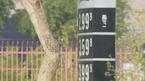 What's behind the drop in Arizona gas prices?