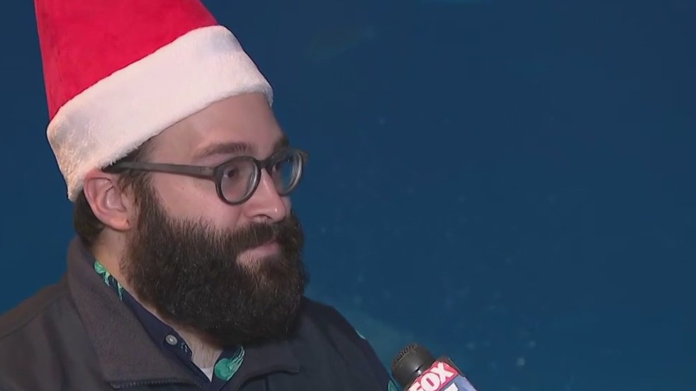Georgia Aquarium talks about Christmas