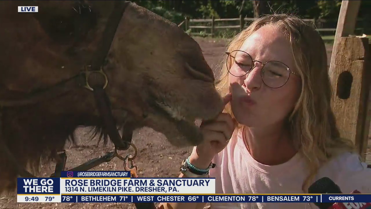Check out kissing camels at Rose Bridge Farm in Montgomery County