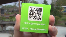 Charley's World | TampaWell's community garden & food pharmacy