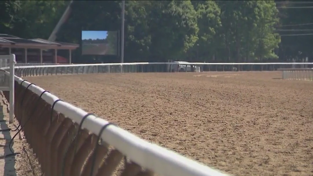 Belmont Stakes preview