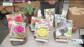 Getting in the spirit for spring: Garden Guy