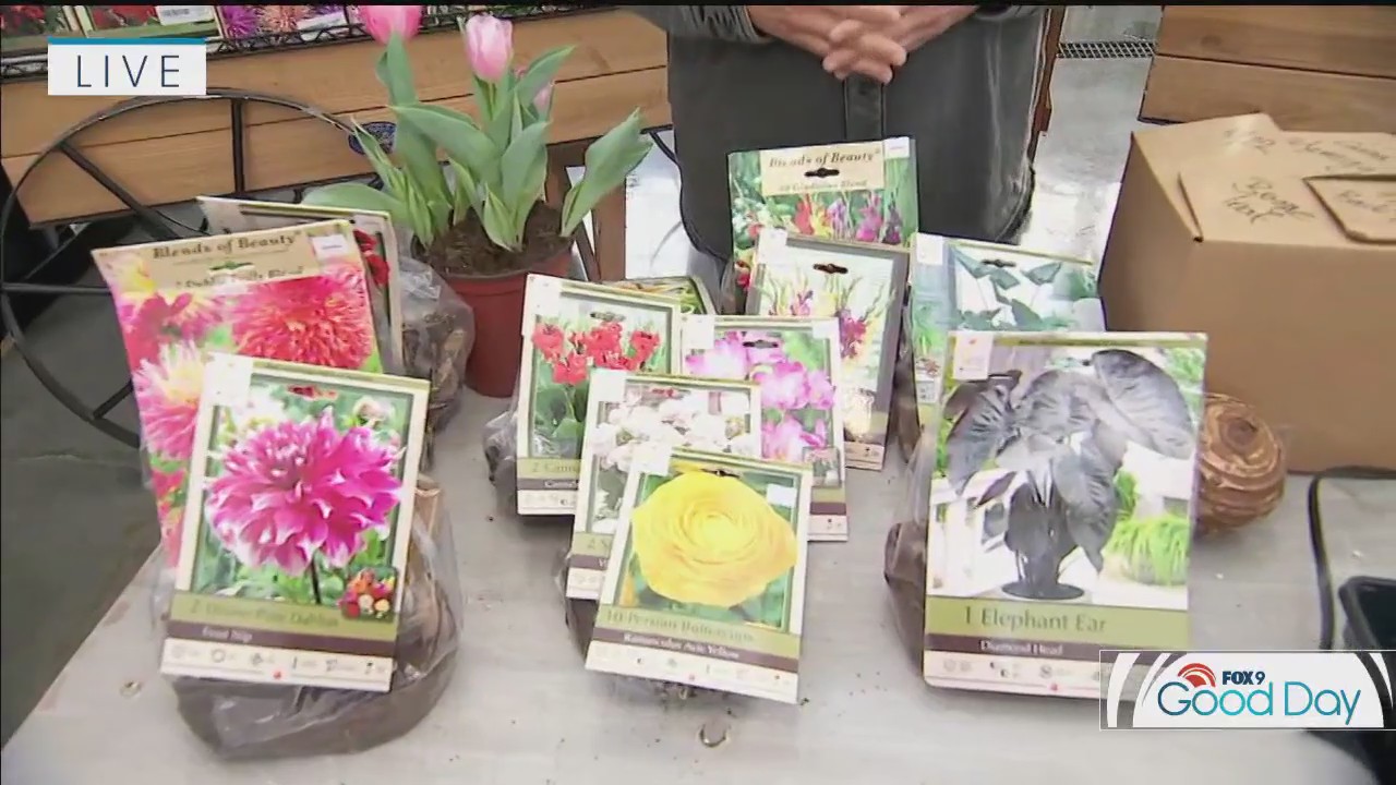 Getting in the spirit for spring: Garden Guy