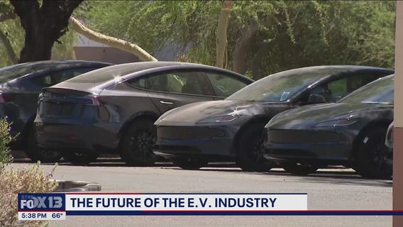 Future of EV industry looks murky