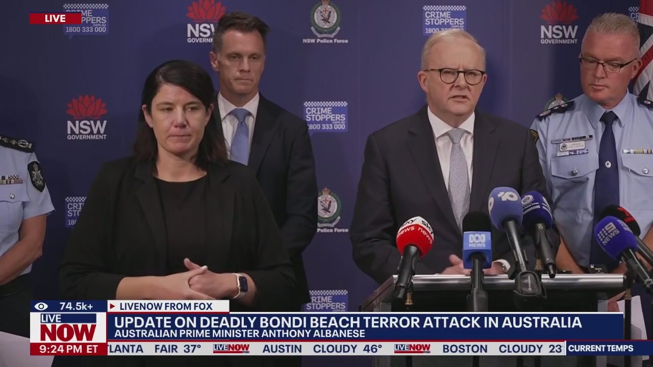 Australian officials on gun laws after terror attack