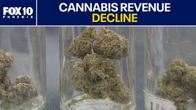 Cannabis dispensaries hoping for 420 business revival