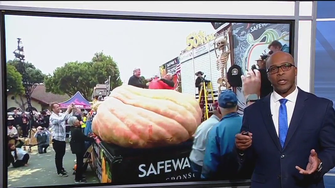 Large pumpkin breaks world record