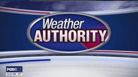 Lions Tailgate Weather