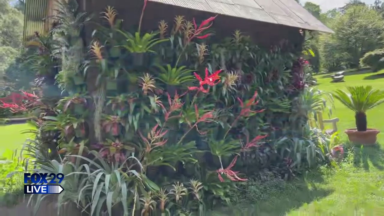 FOX 29 LIVE: Morris Arboretum & Gardens of the University of Pennsylvania