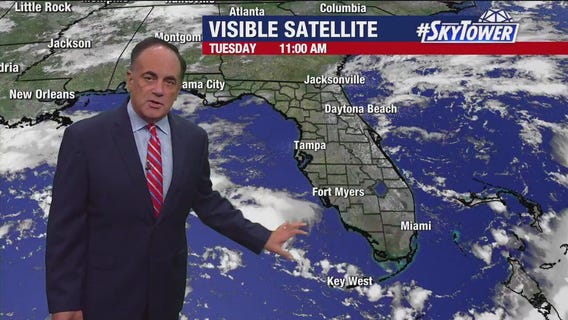 Tampa Weather | Cloudy night, thunderstorms possible tomorrow