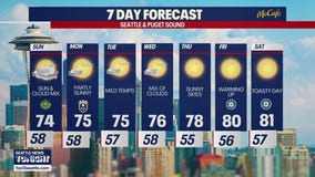 Seattle weather: drier and sunnier end to the weekend