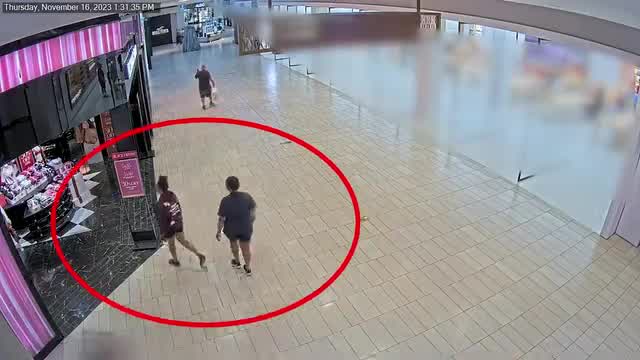 Glendale PD releases shoplifting security footage