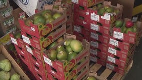 Trade tensions hit Phoenix produce business