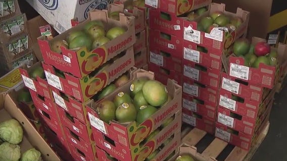 Trade tensions hit Phoenix produce business