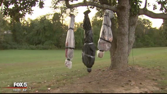 Does it go too far? Maryland family's Halloween display raises eyebrows