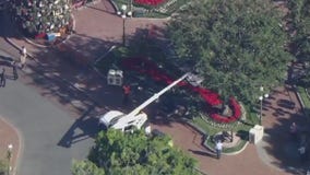 Winds knock down lamppost in Disneyland