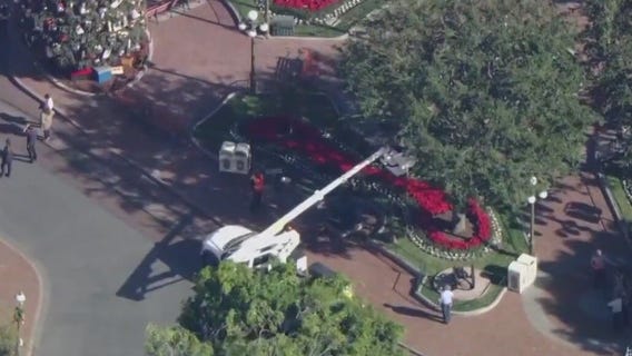Winds knock down lamppost in Disneyland