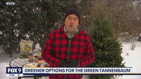 Green ways to give your Christmas tree new life