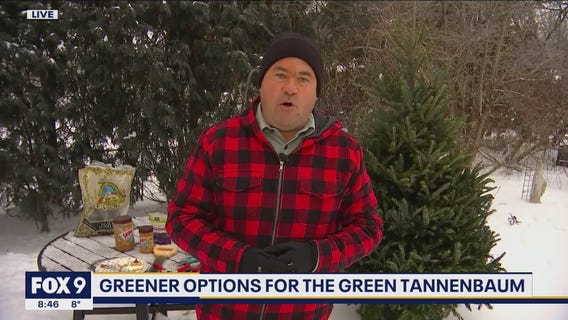 Green ways to give your Christmas tree new life