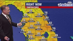 Tampa weather | Warm Thanksgiving