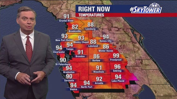 Tampa weather | Low 90's and sunny skies