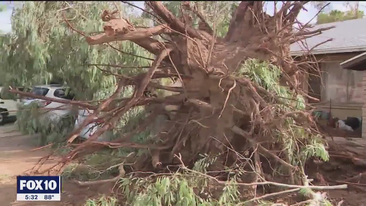 Thursday night monsoon storm marked by strong winds