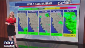 Tampa weather | Beautiful Chistmas forecast