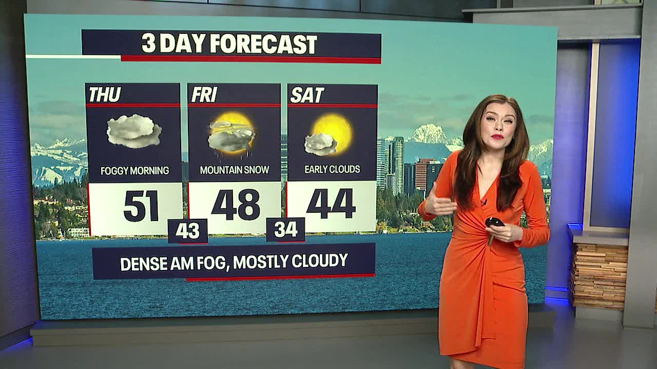 Another round of dense fog