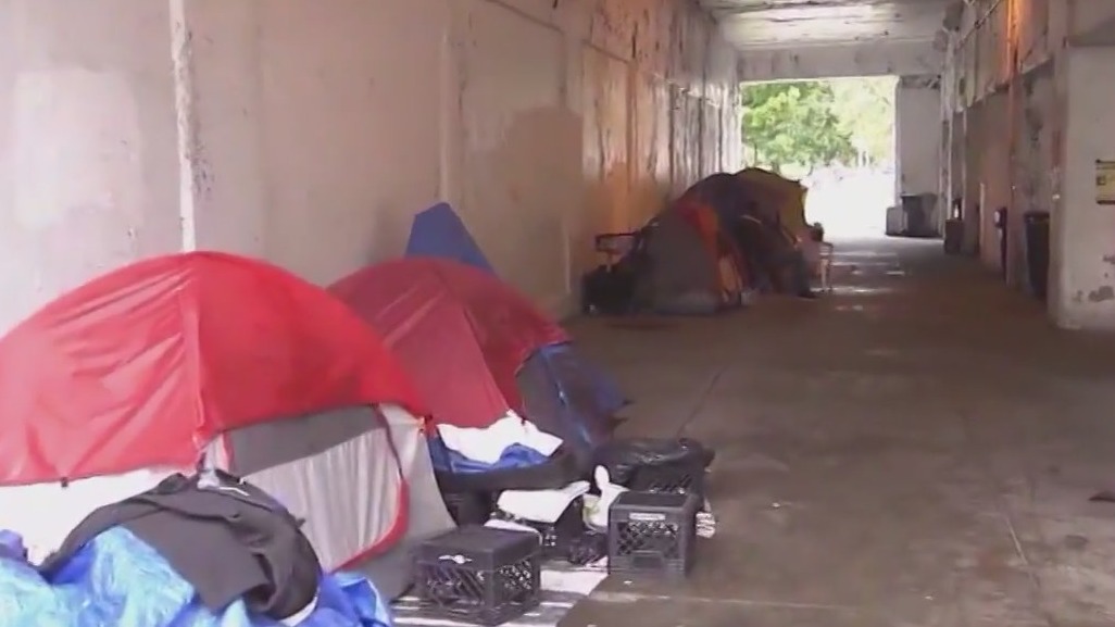 Activists rally for 'Bring Chicago Home' ordinance