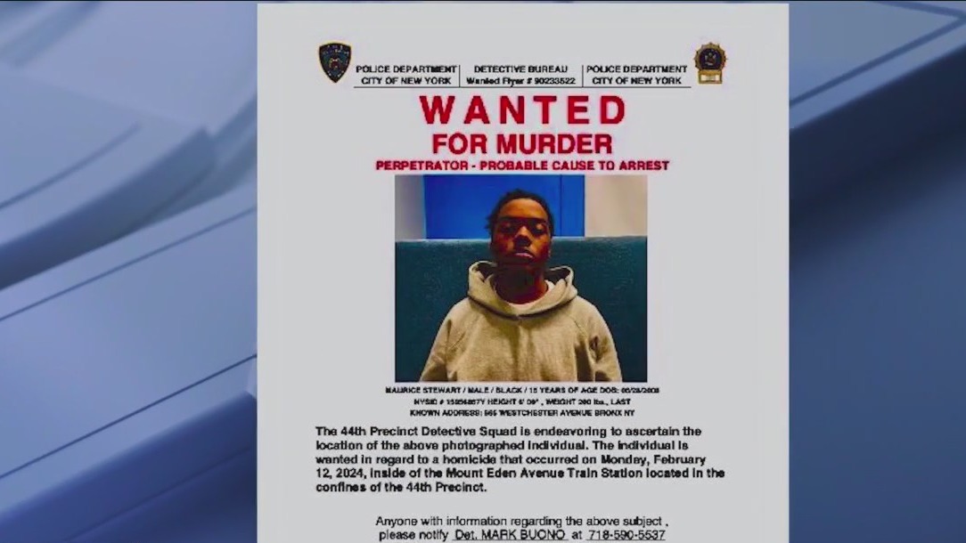 Teen wanted in deadly Bronx subway shooting