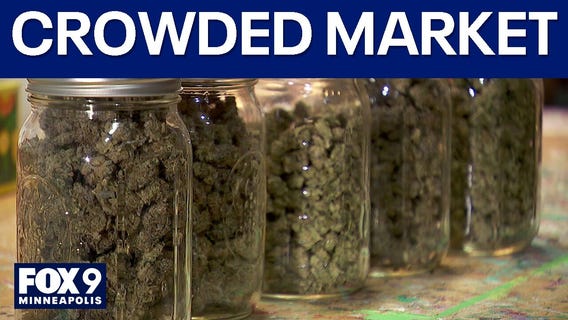 1,100 MN cannabis businesses have received preliminary approval