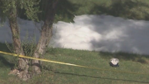 2 hospitalized after Chandler bee attack