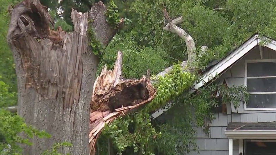 Little girl killed by fallen tree | FOX 5 Atlanta