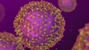 CDC warns of accelerating measles outbreak