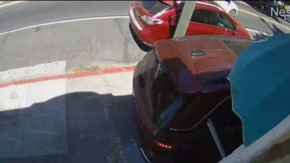 SJ cat shelter closed after 2 vehicle collision injures 2 people