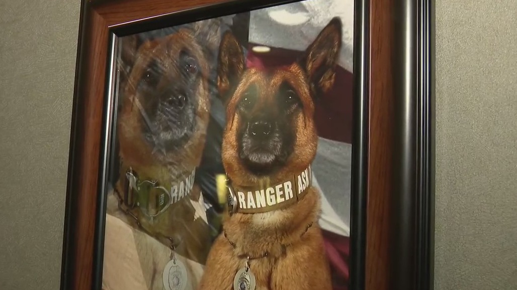 K-9 medical emergency training, first responders learn new skills