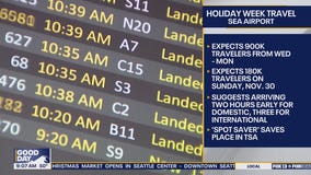 Planes, ferries and freeways: Your guide to Thanksgiving travel