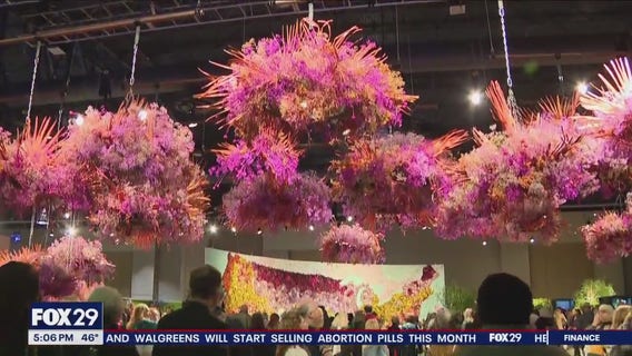 Philadelphia Flower Show returns, as Mayor Cherelle Parker welcomes return of city workers