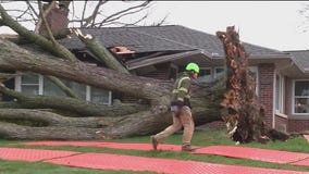 Indiana storm damage: Homes hit, power lines down, 1 killed