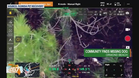 Community searches for 33 hours to help rescue missing 2-year-old pup