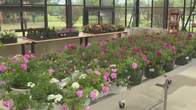 Lambs Farm sprouts new hope for people with disabilities