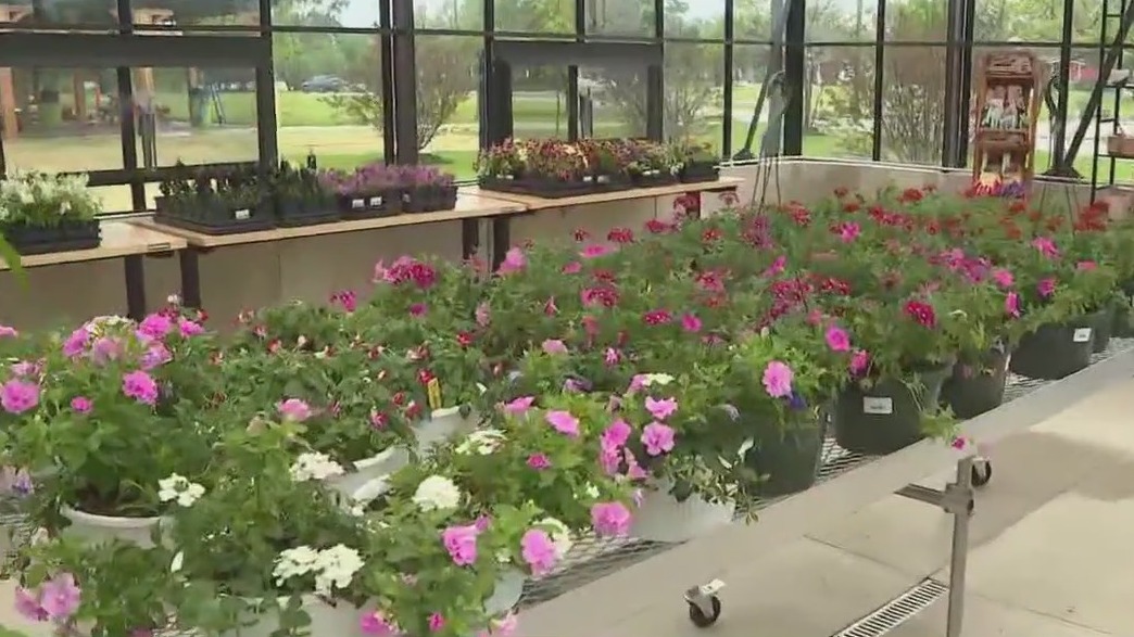 Lambs Farm sprouts new hope for people with disabilities