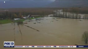 American Red Cross CEO joins FOX 13 Morning News to discuss flooding