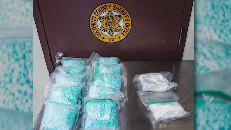 10 pounds of fentanyl found during traffic stop near Winslow | FOX 10 ...